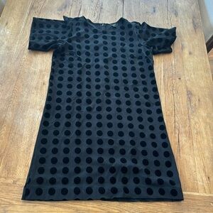 Ann Taylor Velvet Dot Shift Dress